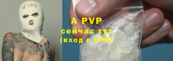 PSILOCYBIN Верея