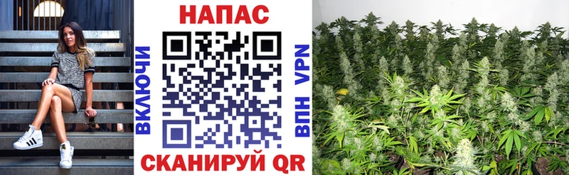 Каннабис LSD WEED Дмитриев